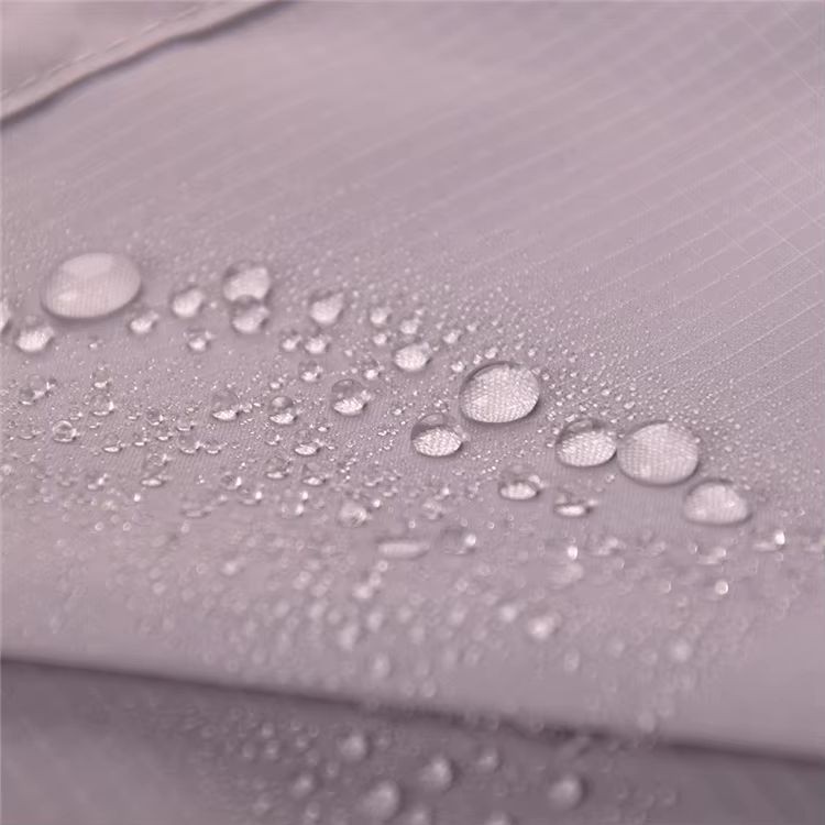 686c9cc8-dac6-4a3d-ae1d-84bcdb6ef77c 686c9cc8-dac6-4a3d-ae1d-84bcdb6ef77c